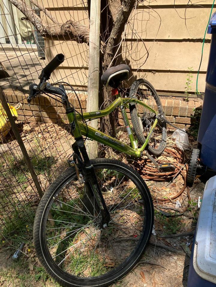 Gearand and Cameron Williams